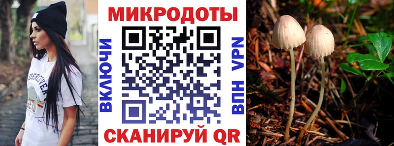 Галлюциногенные грибы мухоморы  купить наркоту  Покров 