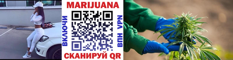 купить закладку  Покров  Марихуана сатива 